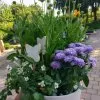 Blumen 14