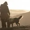 Tiere 22