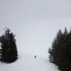 Winter 1