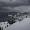 Winter 2
