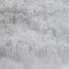 Winter 3