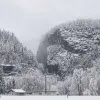 Winter 4