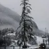 Winter 5