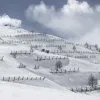 Winter 9